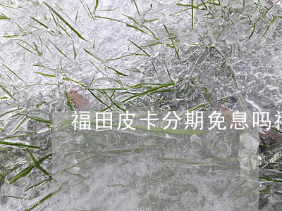 福田皮卡分期免息吗(福田皮卡什么机器)