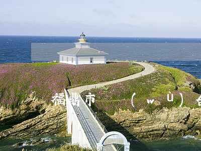 福鼎市債務(wù)合同律師