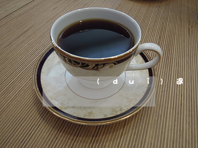 禮儀隊(duì)退隊(duì)申請書