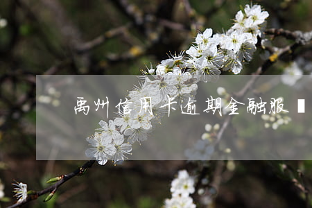 禹州信用卡逾期金融服務(信用卡逾期之后)