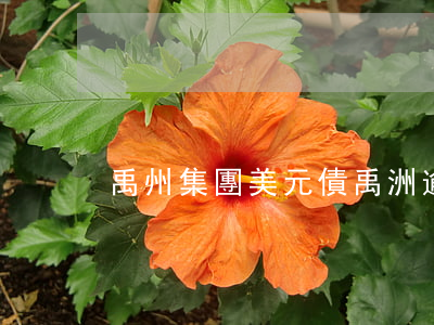 禹州集團美元債（禹洲逾期美元債）