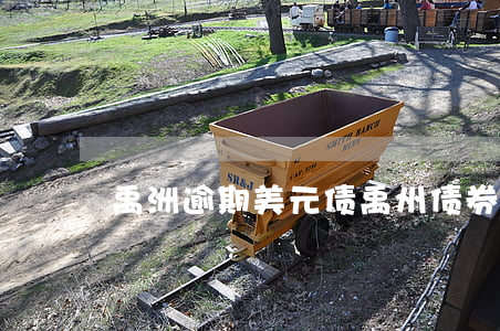 禹洲逾期美元债(禹州债券)