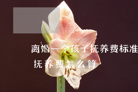 离婚一个孩子抚养费标准(离婚孩子一人一个抚养费怎么算)