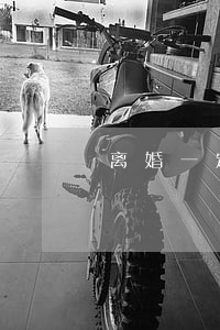 离婚一定需要户口本吗