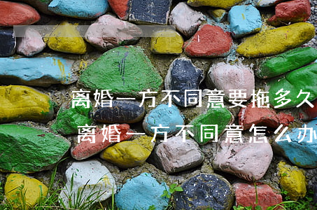 离婚一方不同意要拖多久能离婚(2020年离婚一方不同意怎么办需要多久能离婚)