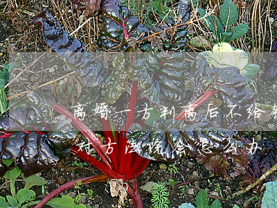 离婚一方判离后不给钱怎么办(离婚的钱不给对方法院会怎么办)