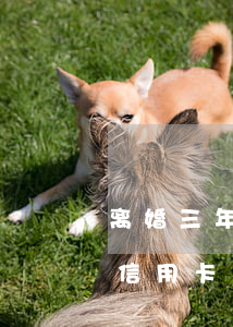 离婚三年前夫信用卡逾期一年(离婚三年前夫信用卡逾期一年)