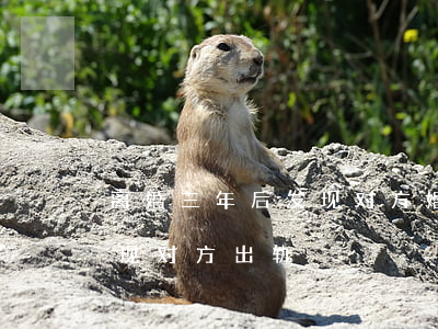 离婚三年后发现对方婚内出轨(离婚一年后发现对方出轨)
