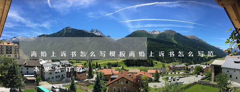离婚上诉书怎么写模板(离婚上诉书怎么写?范本是怎样的?)