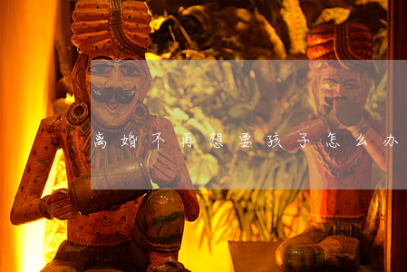 离婚不再想要孩子怎么办