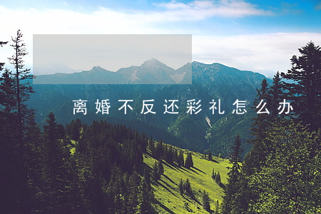 离婚不反还彩礼怎么办