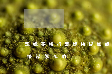 离婚不执行离婚协议如何处理(离婚了不履行协议怎么办)