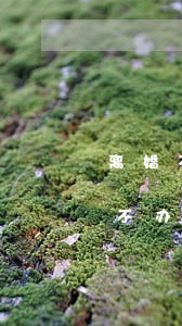 离婚不签字能拖多久(签了离婚协议就是拖着不办理离婚怎么办)