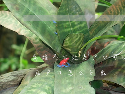 离婚不肯迁走户口可以诉讼解决吗(起诉离婚后户口怎么迁出)