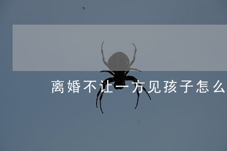 离婚不让一方见孩子怎么办