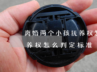 离婚两个小孩抚养权怎么判定(离婚2小孩抚养权怎么判定标准)