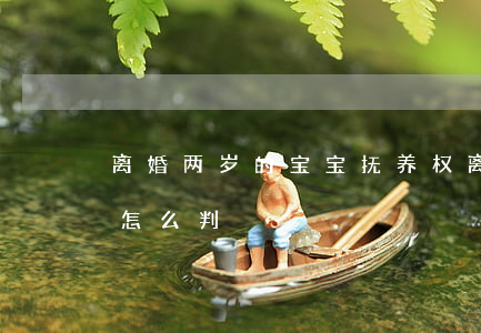 离婚两岁的宝宝抚养权(离婚两岁小孩抚养权怎么判)