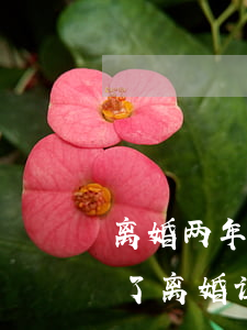离婚两年了还能补上离婚证吗(离婚后又结婚了离婚证可以补办吗)
