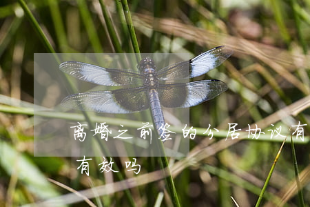 离婚之前签的分居协议有用吗(离婚协议分房有效吗)