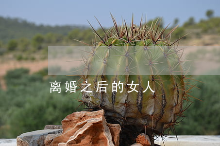 离婚之后的女人