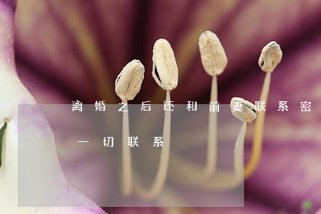 离婚之后还和前妻联系密切(离婚后前妻断了一切联系)