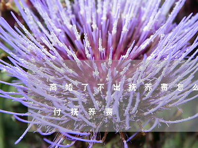 离婚了不出抚养费怎么处理(离婚了对方不支付抚养费)