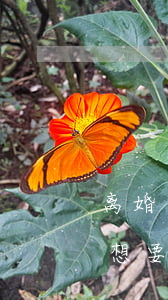 离婚了不想要孩子怎么打掉(女方提出离婚不想要孩子怎么办)