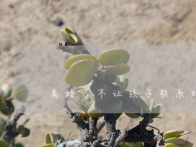 离婚了不让孩子联系妈妈的怎么办