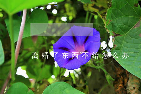 离婚了东西不给怎么办
