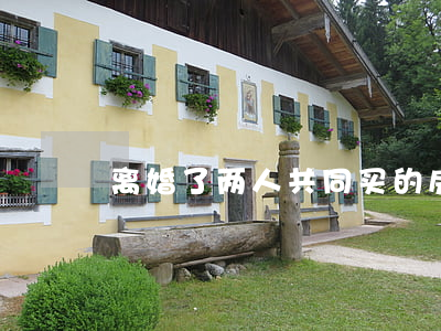 离婚了两人共同买的房子怎么办