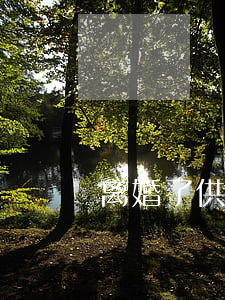 离婚了供的房怎么办