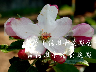 离婚了信用卡逾期会影响孩子吗（夫妻离婚以后信用卡消费逾期）