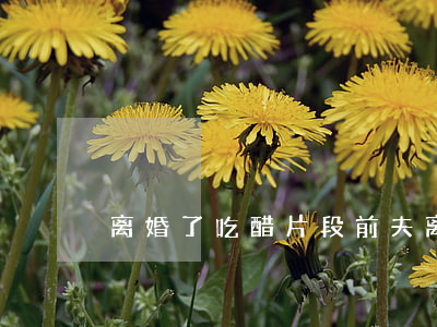 离婚了吃醋片段(前夫离婚了为什么还吃醋)