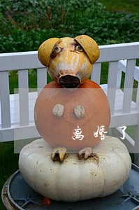 离婚了复合的机会大吗(离婚还能复合吗)