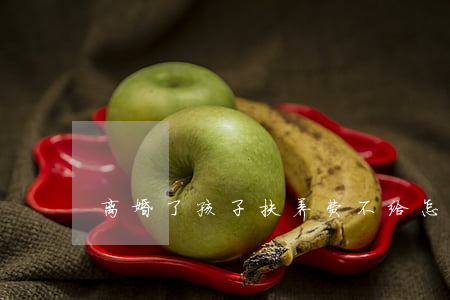 离婚了孩子扶养费不给怎么办