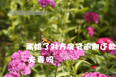 离婚了对方房贷逾期还款(离婚房贷逾期影响夫妻吗)