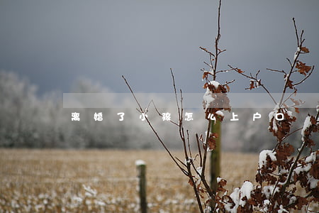 离婚了小孩怎么上户口