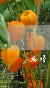 离婚了想挽回
