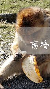 离婚了户口不迁走可以吗