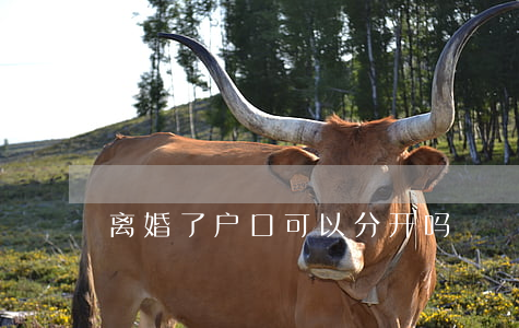 离婚了户口可以分开吗