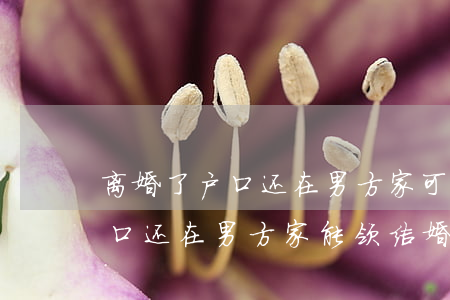 离婚了户口还在男方家可以结婚吗(离婚后户口还在男方家能领结婚证吗)