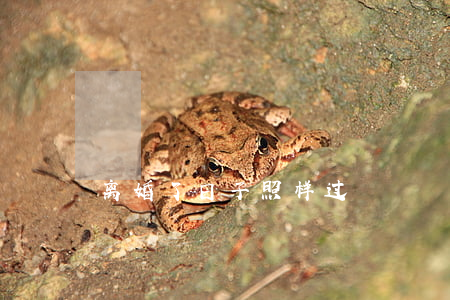 离婚了日子照样过