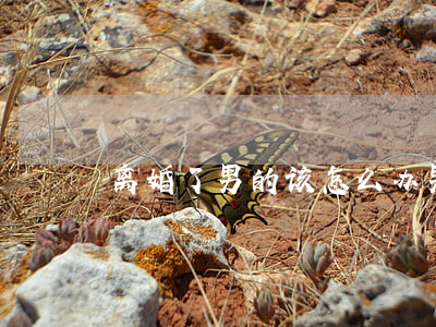 离婚了男的该怎么办(男人离婚了怎么走出来)