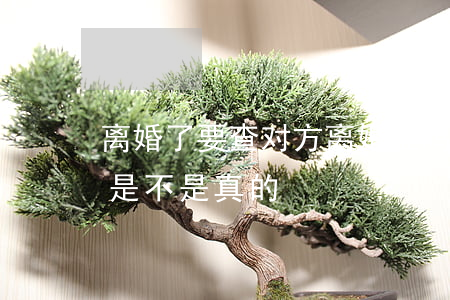 离婚了要查对方离婚证吗(哪里可以查离婚证是不是真的)