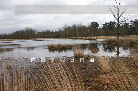 离婚了还日前妻