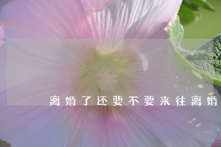 离婚了还要不要来往(离婚可以直接去离吗)