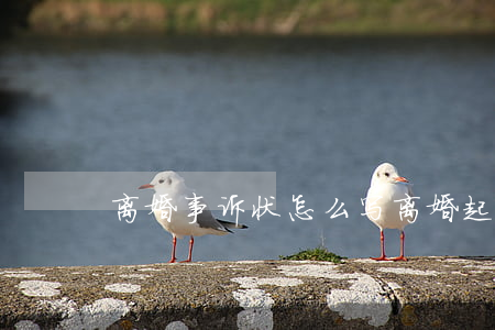 离婚事诉状怎么写(离婚起诉怎么写诉状)