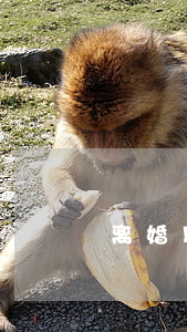 离婚以后 bl