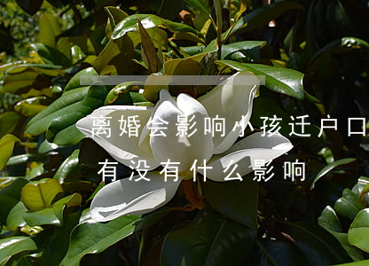 离婚会影响小孩迁户口(离婚后小孩户口不迁有没有什么影响)