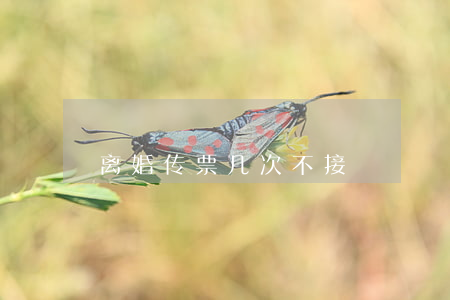 离婚传票几次不接
